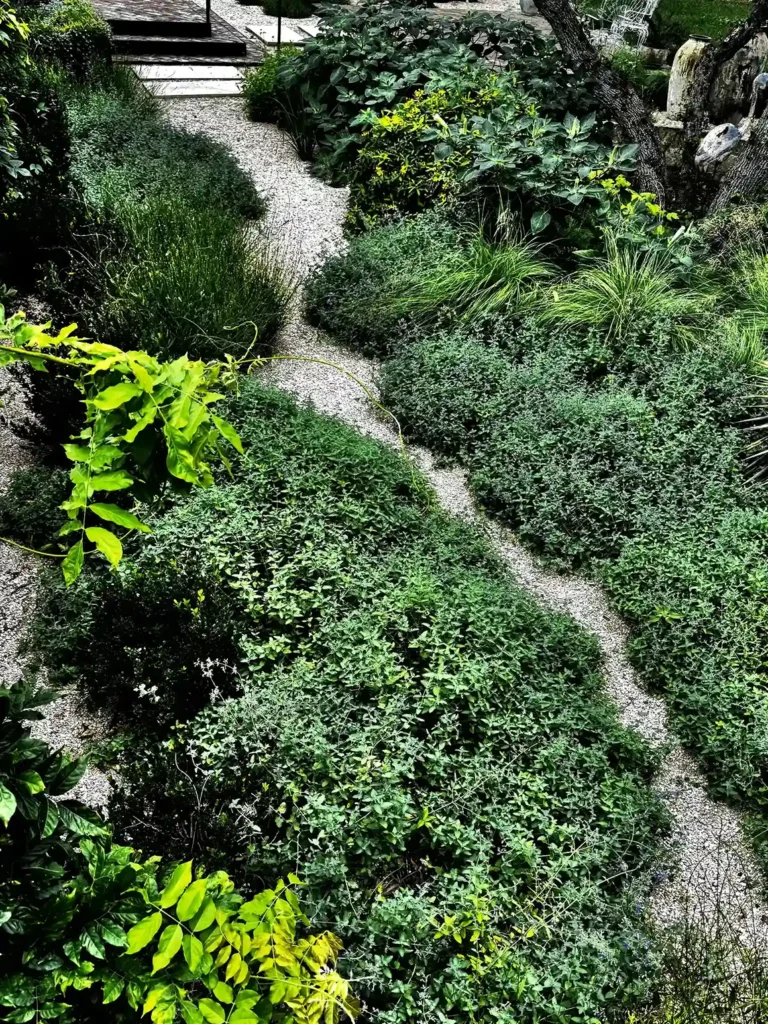 ADLA Studio Gardens Drift Out West Nature Retreat 2 11