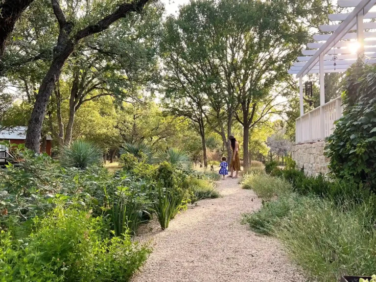 Drift Out West Driftwood Texas Event Venue 6 11zon 1 11