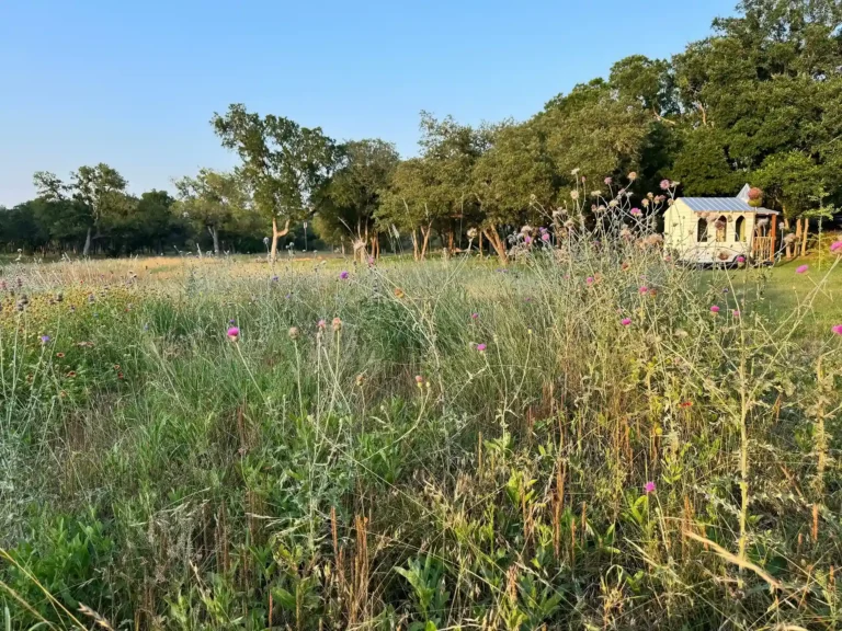 Driftwood Wildflower Wedding Venue Hill Country 9 11zon 15 11