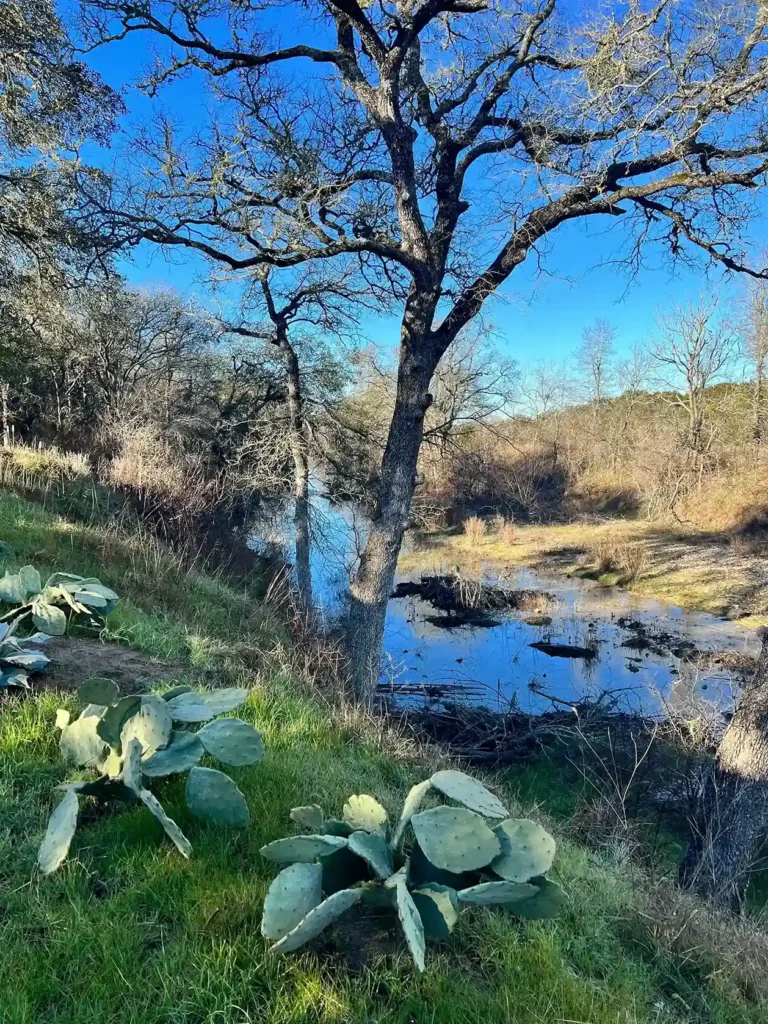 Onion Creek Retreat Texas Hill Country 3 11zon 13 11