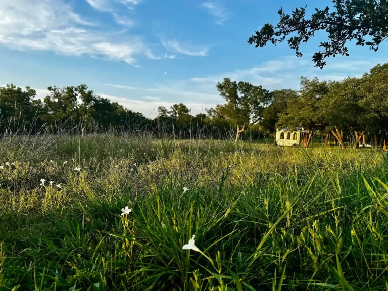 Texas Wildflowers Getaway Retreat Micro Wedding Nature Near Austin 3 11zon 7 11