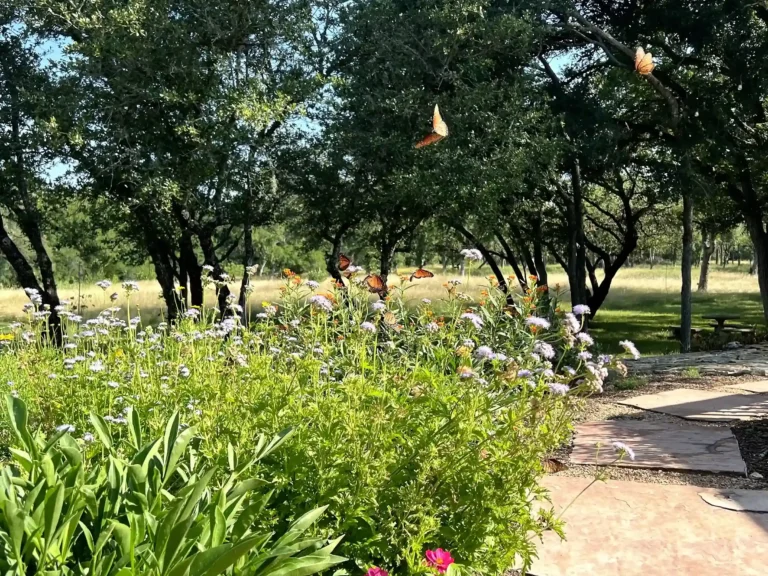 Butterfly Gardens Trails Hill Country Getaway Retreat Events Venue 5 11