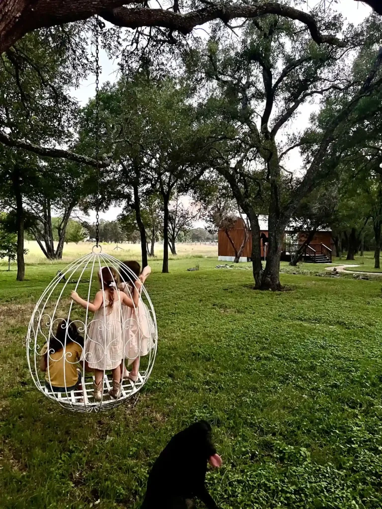 Event Venue Swing Relaxing Escape Driftwood 19 11