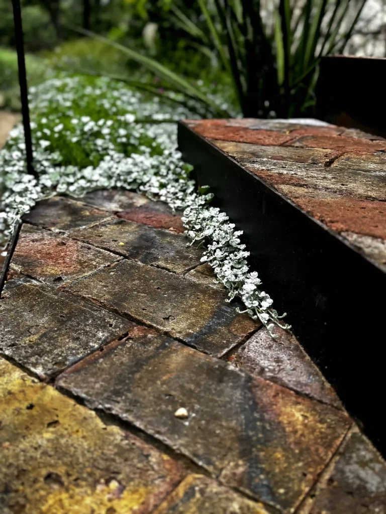 Garden Steps Landscape Architecture ADLA Studio 3 11