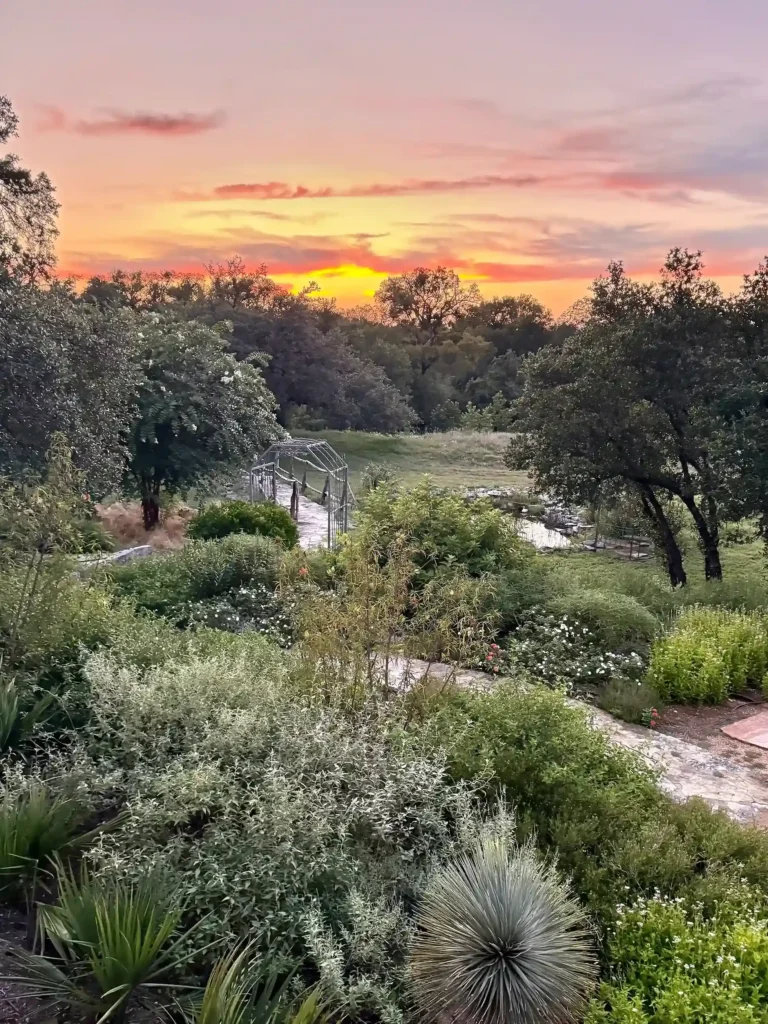 Sunset Views Butterfly Garden Event Space Retreat Getaway 9 11zon 23 11