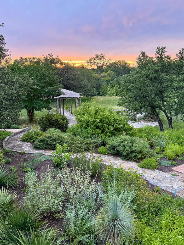 Drift-Out-West-Gardens-at-Sunset