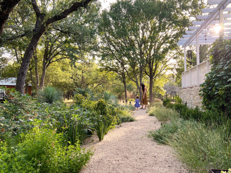 native-garden-stone-path-pavilion-dusk-drift-out-west-driftwood-tx